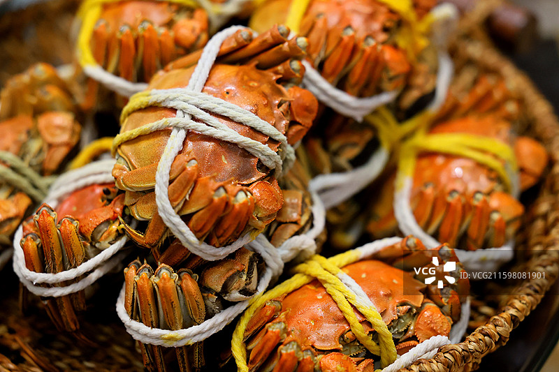 阳澄湖大闸蟹特写图片素材