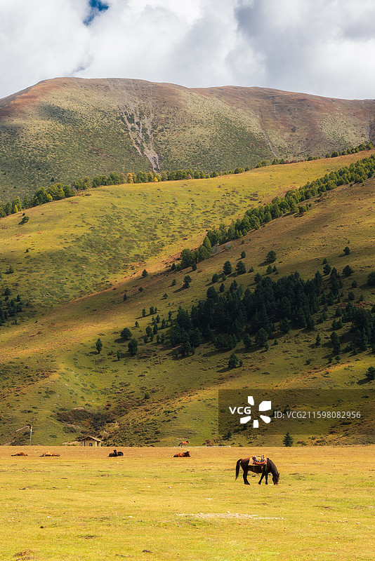 四川甘孜金马草原东嘎寺图片素材