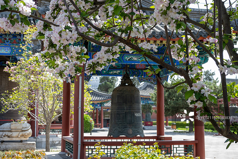 北京大钟寺博物馆的钟与花图片素材