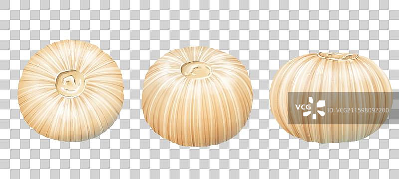 不同角度的糖瓜图片素材