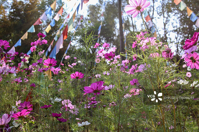 沈阳世博园-拉萨园图片素材