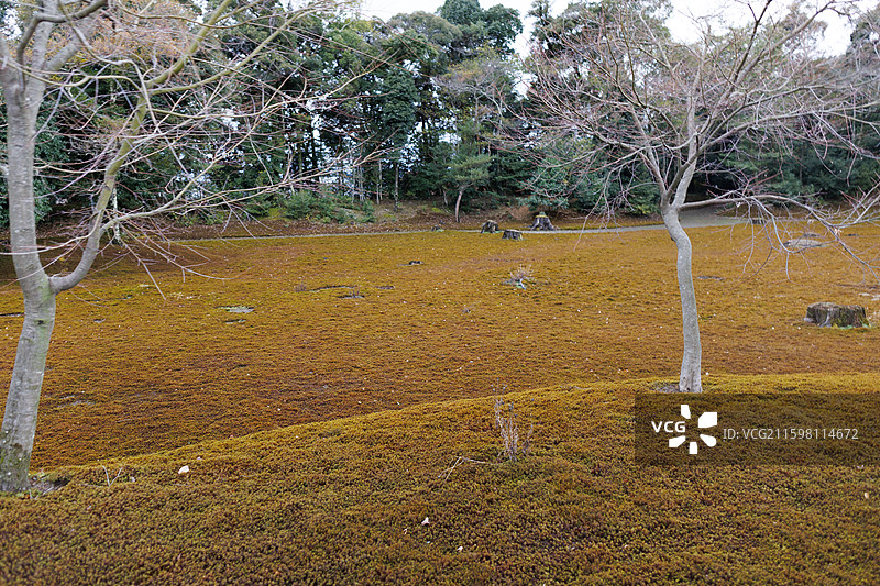 日本宇治奈良京都神户图片素材