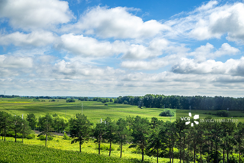 黑龙江杜尔伯特夏季大草原与蓝天白云图片素材