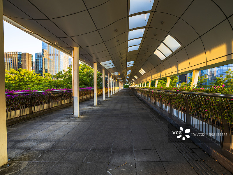 广东省佛山市顺德高新区城区景观，现代步道配花草，顶部结构独特，远处高楼林立，尽显都市活力。图片素材