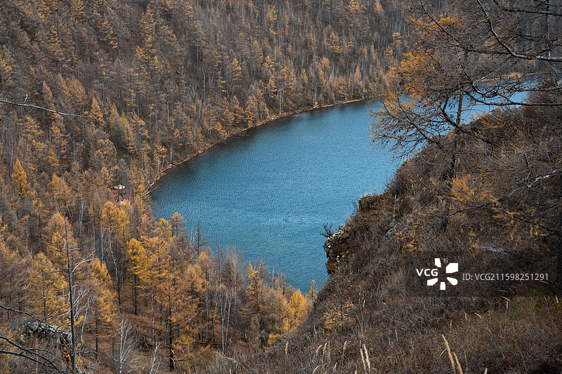秋日被棕黄树林包围的阿尔山驼峰岭天池图片素材