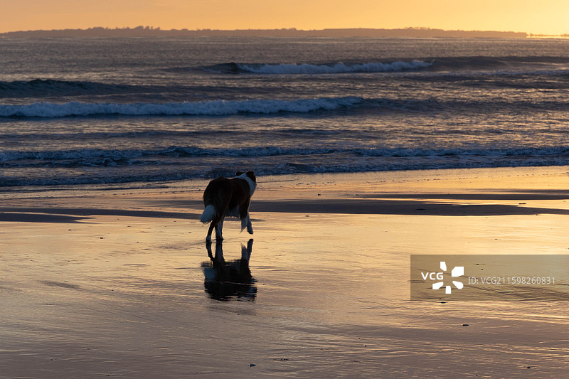 新西兰陶朗加图片素材
