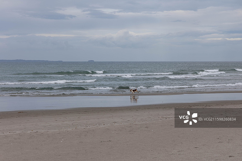 新西兰陶朗加图片素材