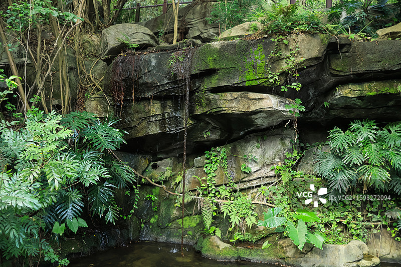 深圳燕晗山公园湖泊，溪流，小桥流水，宁静，自然，绿植图片素材