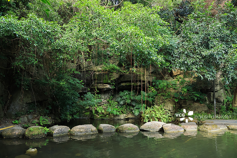 深圳燕晗山公园湖泊，溪流，小桥流水，宁静，自然，绿植图片素材