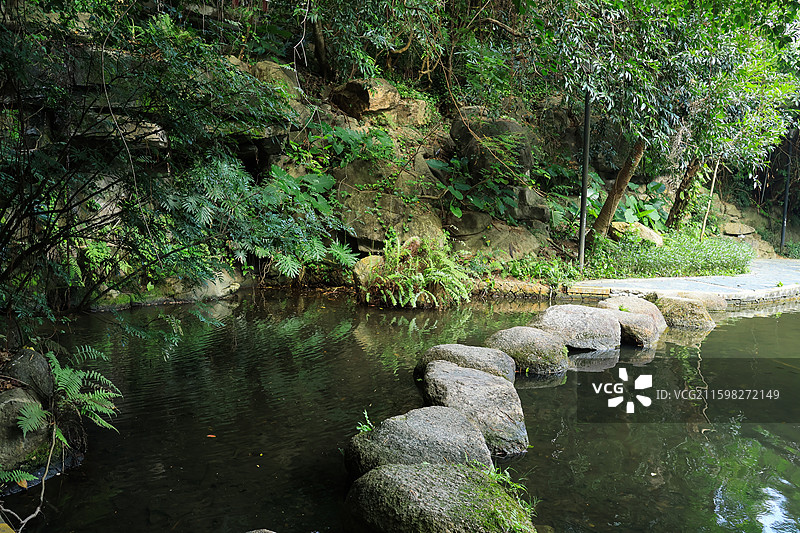 深圳燕晗山公园湖泊，溪流，小桥流水，宁静，自然，绿植图片素材