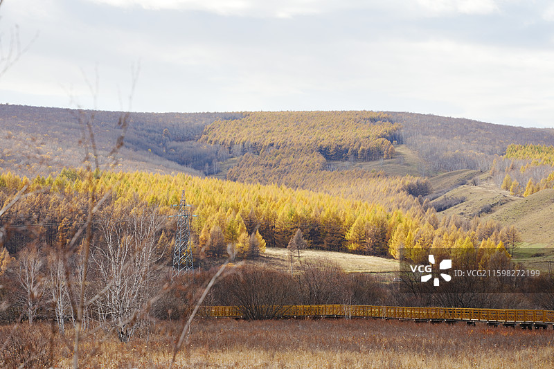 阿尔山五里泉秋景图片素材