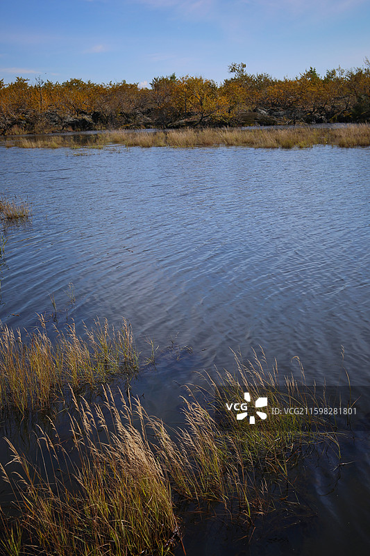 黑河五大连池“温泊”景区一景图片素材