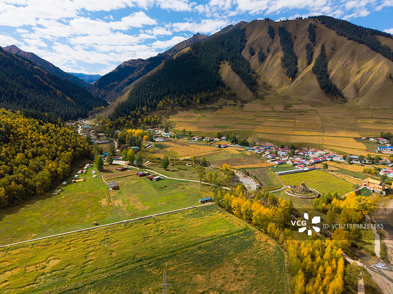 青海仙米国家森林公园图片素材