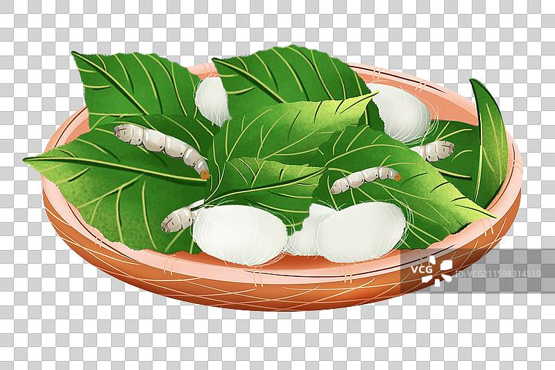 蚕宝宝图片素材