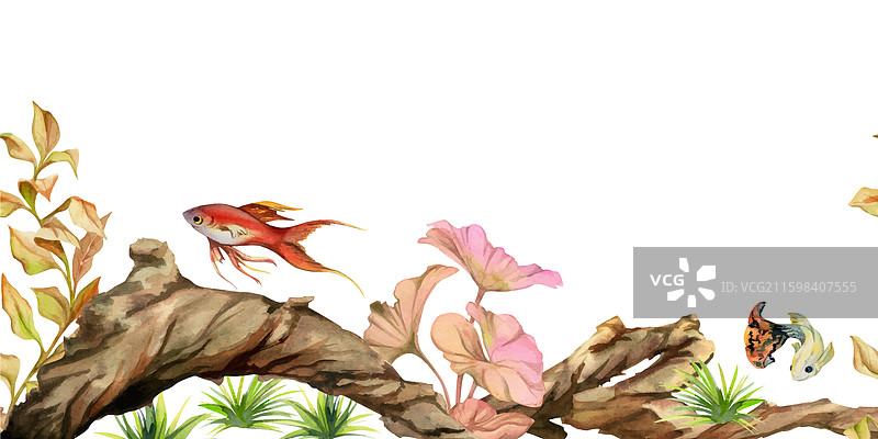 手绘水彩水族馆鱼类、藻类和图片素材