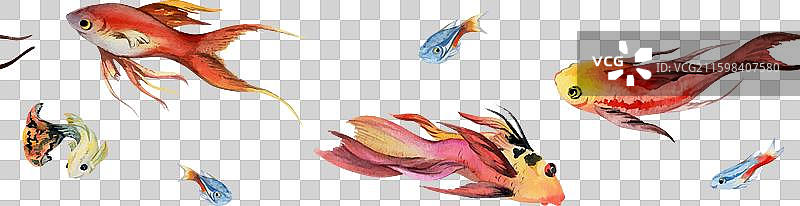 手绘水彩热带鱼水族馆图片素材