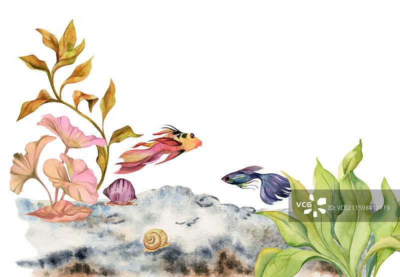 手绘水彩水族馆的鱼、海藻和图片素材
