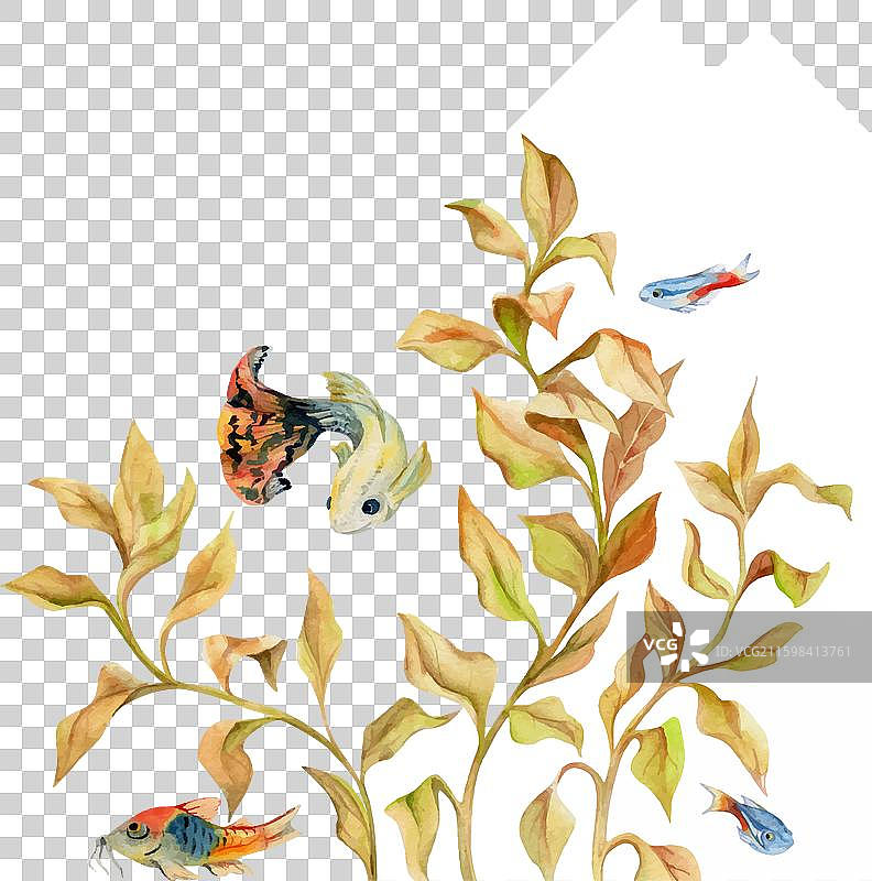 手绘水彩风格的水族馆鱼类、藻类和海藻图片素材