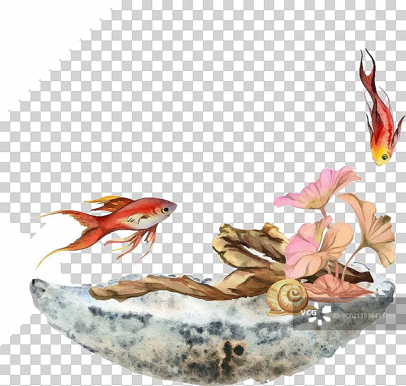 手绘水彩水族馆鱼类和藻类图片素材