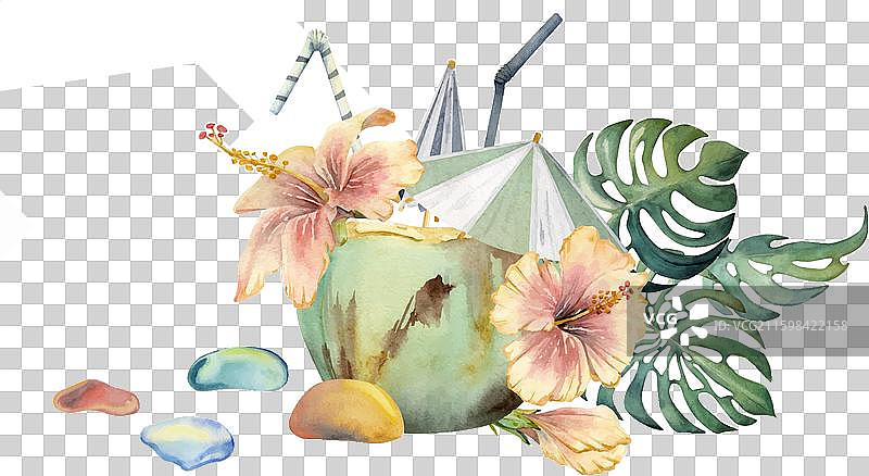 手绘水彩椰子组合图片素材