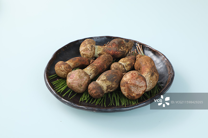 白葱菌图片素材