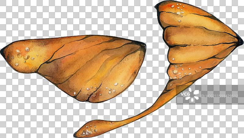 手绘水彩蝴蝶仙女翅膀宝石图片素材