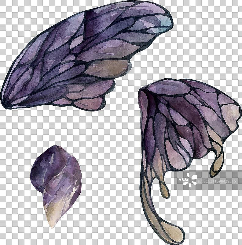 手绘水彩蝴蝶仙子翅膀宝石图片素材