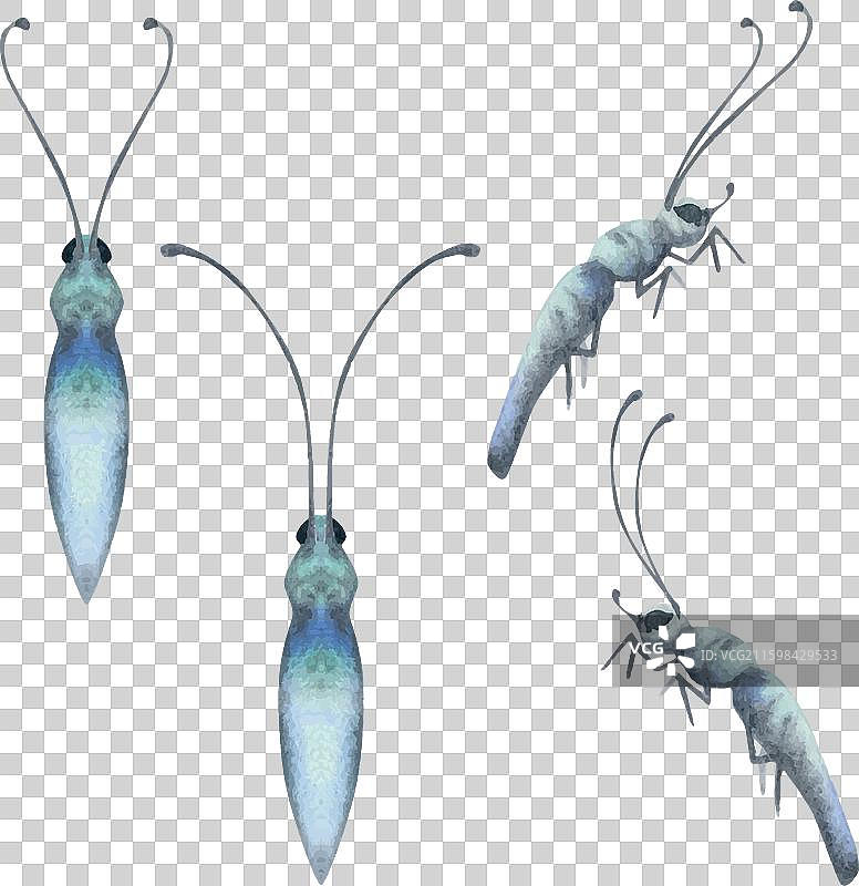 手绘水彩蝴蝶、虫子、黄蜂和蚂蚁图片素材