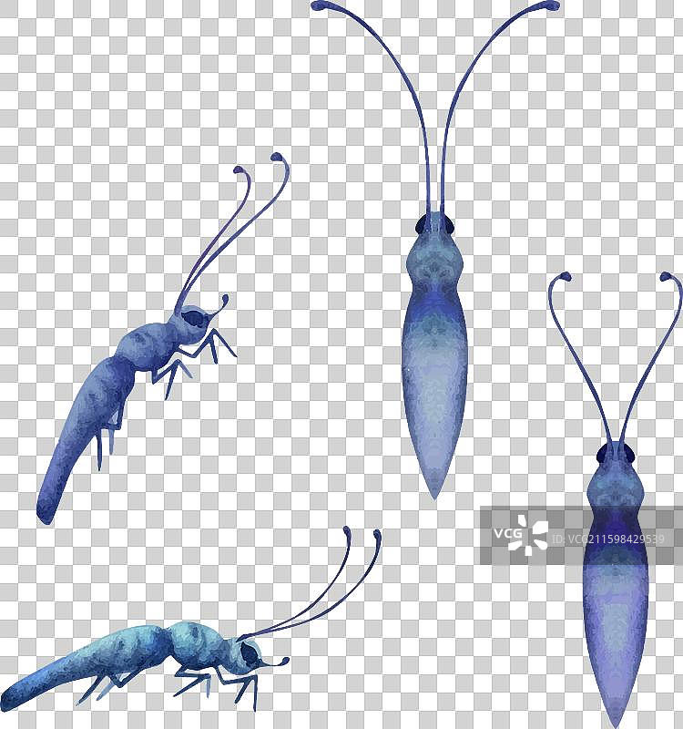 手绘水彩蝴蝶、虫子、黄蜂和蚂蚁图片素材