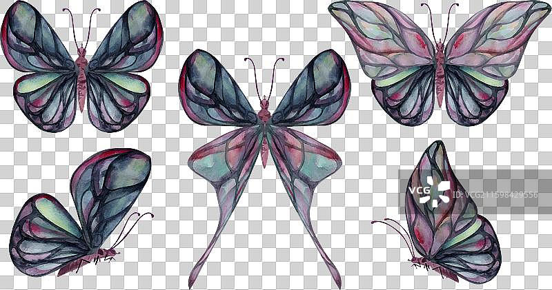 手绘水彩蝴蝶仙子翅膀宝石图片素材