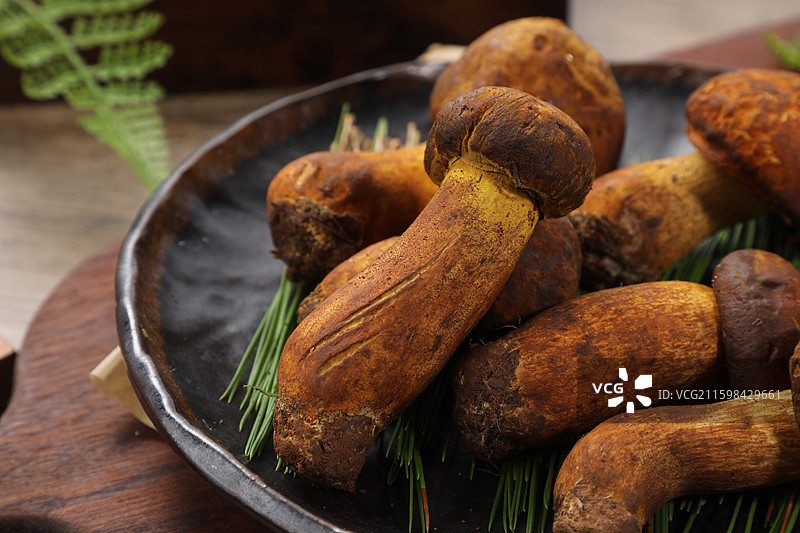 黄葱菌图片素材