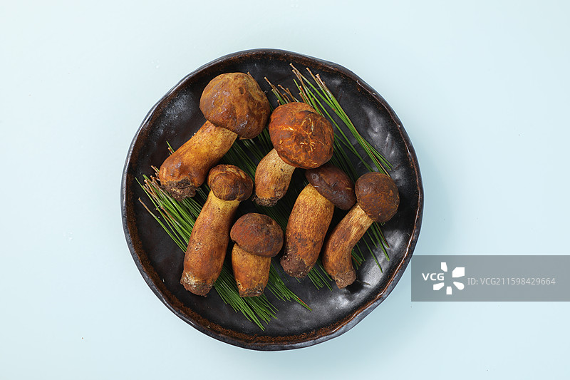 黄葱菌图片素材