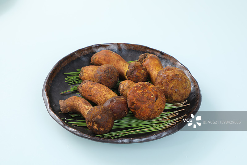 黄葱菌图片素材