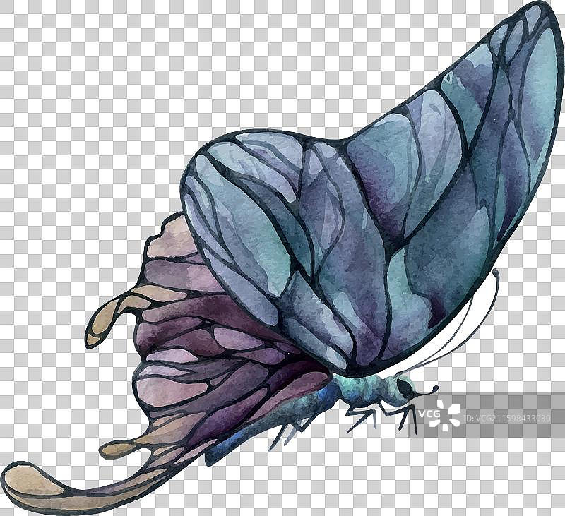 手绘水彩蝴蝶仙子翅膀宝石图片素材