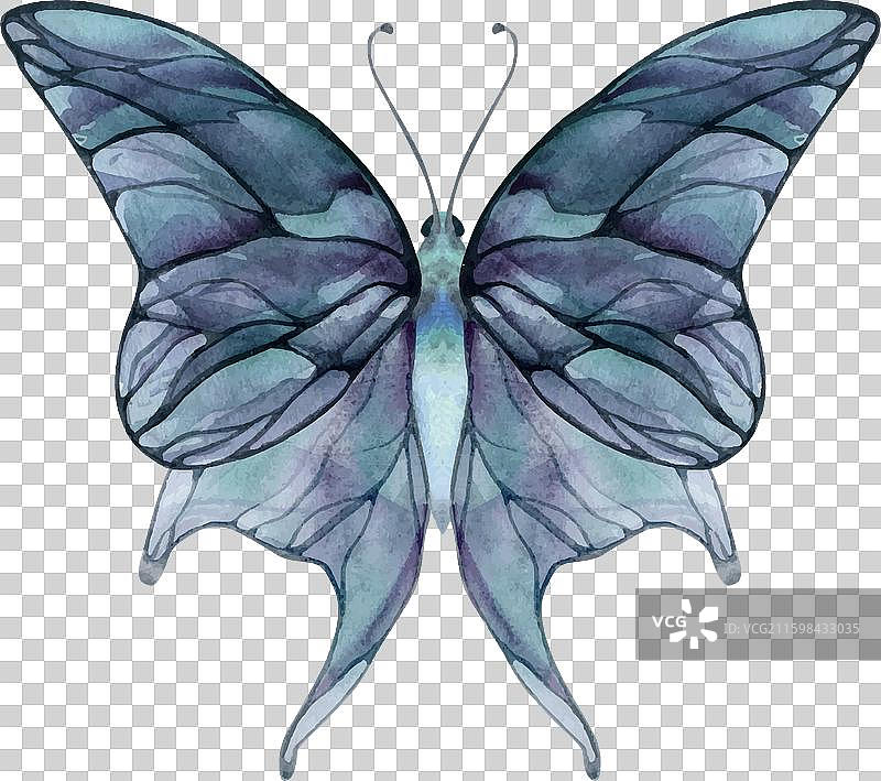 手绘水彩蝴蝶仙子翅膀宝石图片素材