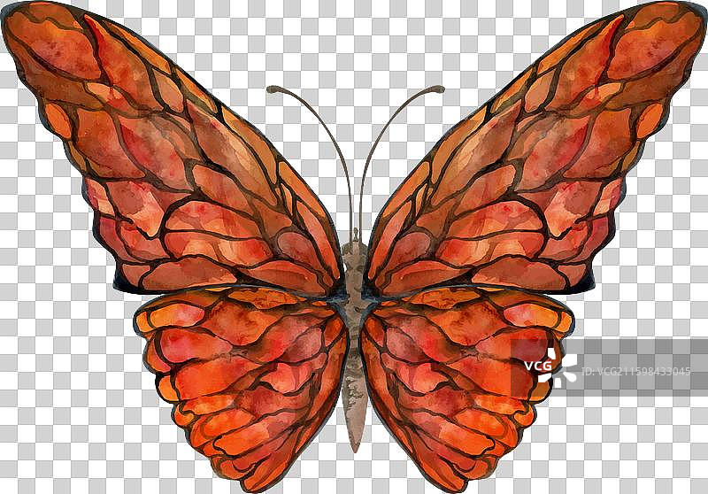 手绘水彩蝴蝶精灵翅膀宝石图片素材