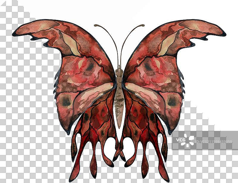 手绘水彩蝴蝶仙子翅膀宝石图片素材