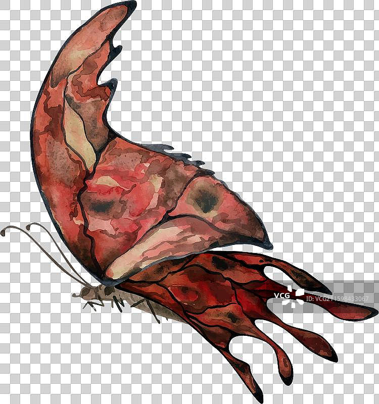 手绘水彩蝴蝶仙子翅膀宝石图片素材