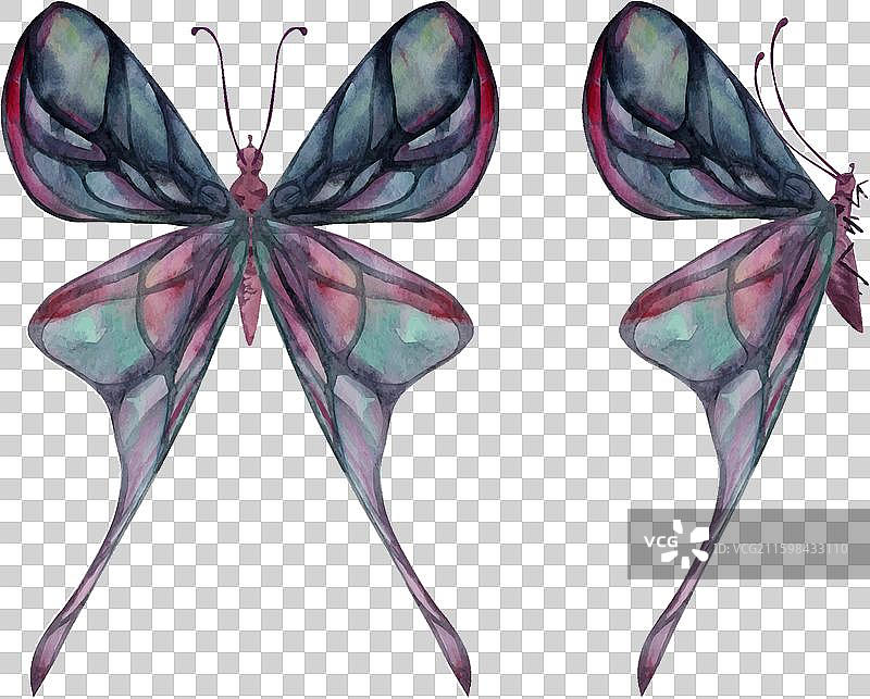 手绘水彩蝴蝶仙子翅膀宝石图片素材
