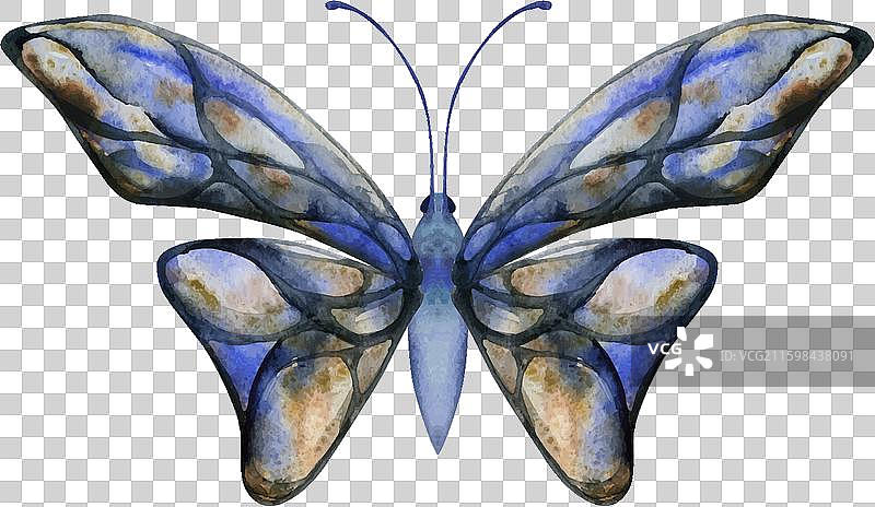 手绘水彩蝴蝶仙子翅膀宝石图片素材