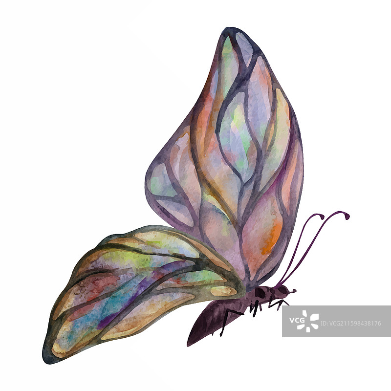 手绘水彩蝴蝶仙子翅膀宝石图片素材