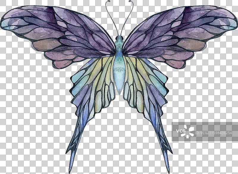 手绘水彩蝴蝶仙子翅膀宝石图片素材