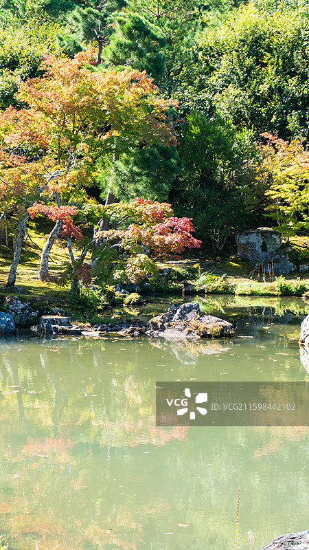日本京都岚山天龙寺秋天风景湖枫叶图片素材