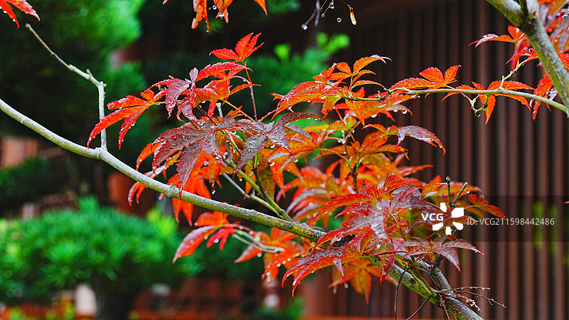 绍兴兰亭景区图片素材