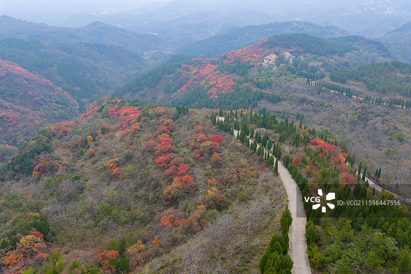济南章丘七星台红叶图片素材