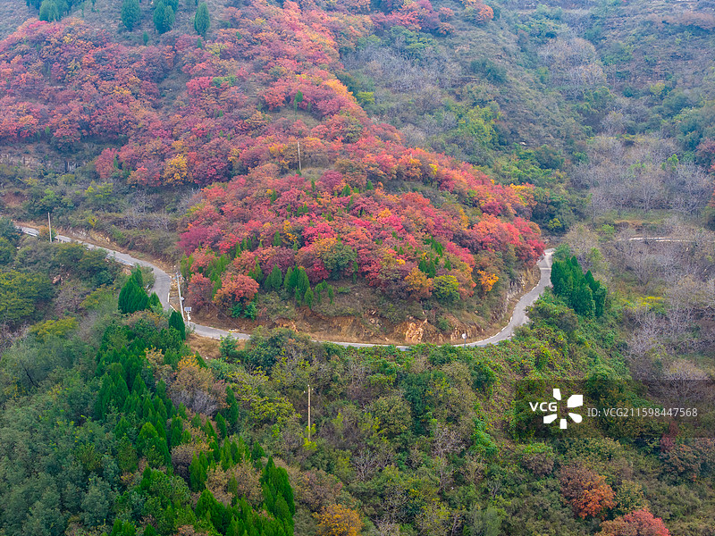 济南章丘七星台红叶图片素材