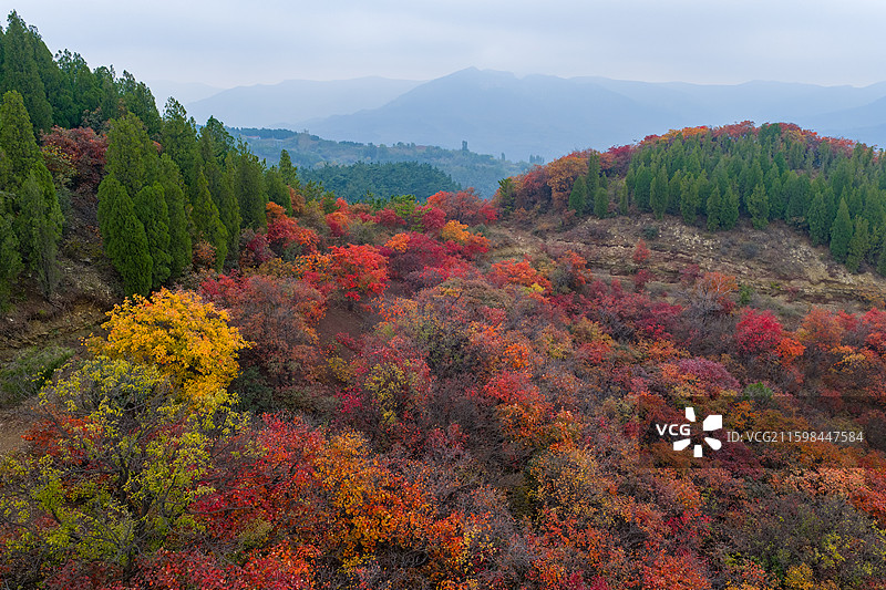 航拍济南七星台红叶图片素材