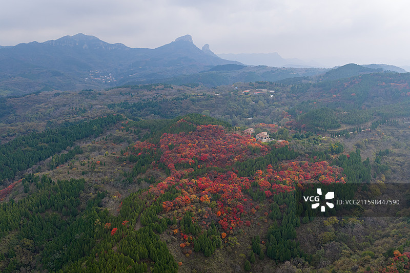航拍济南七星台红叶图片素材