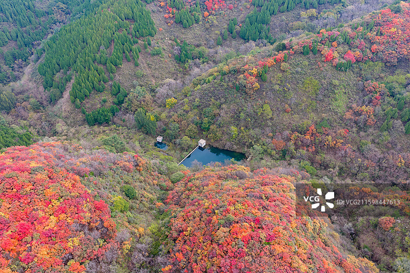 航拍济南七星台红叶图片素材