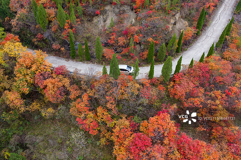 济南章丘七星台红叶图片素材